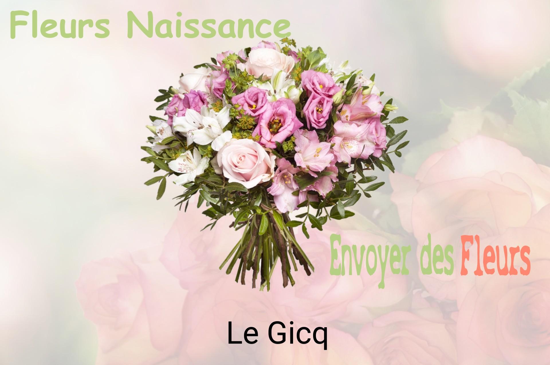 Bouquet de fleurs de naissance livré à Le Gicq
